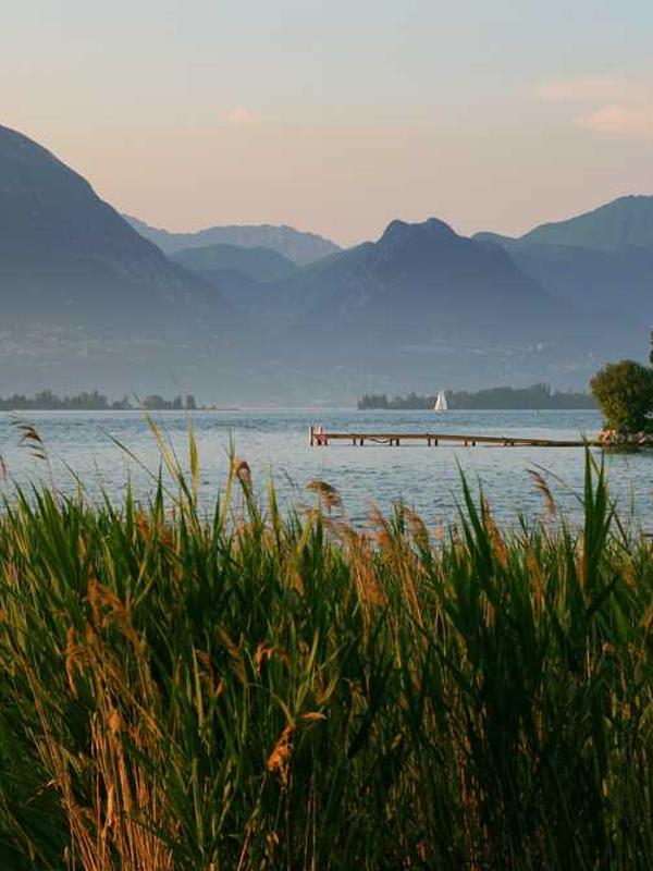 热门日本模板推荐